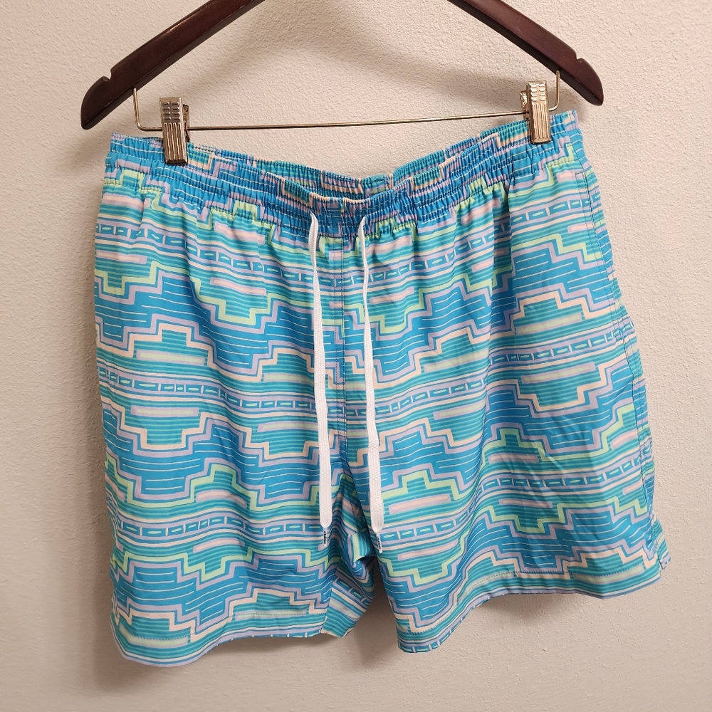 Chubbies swim trunks